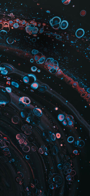 Black Particles