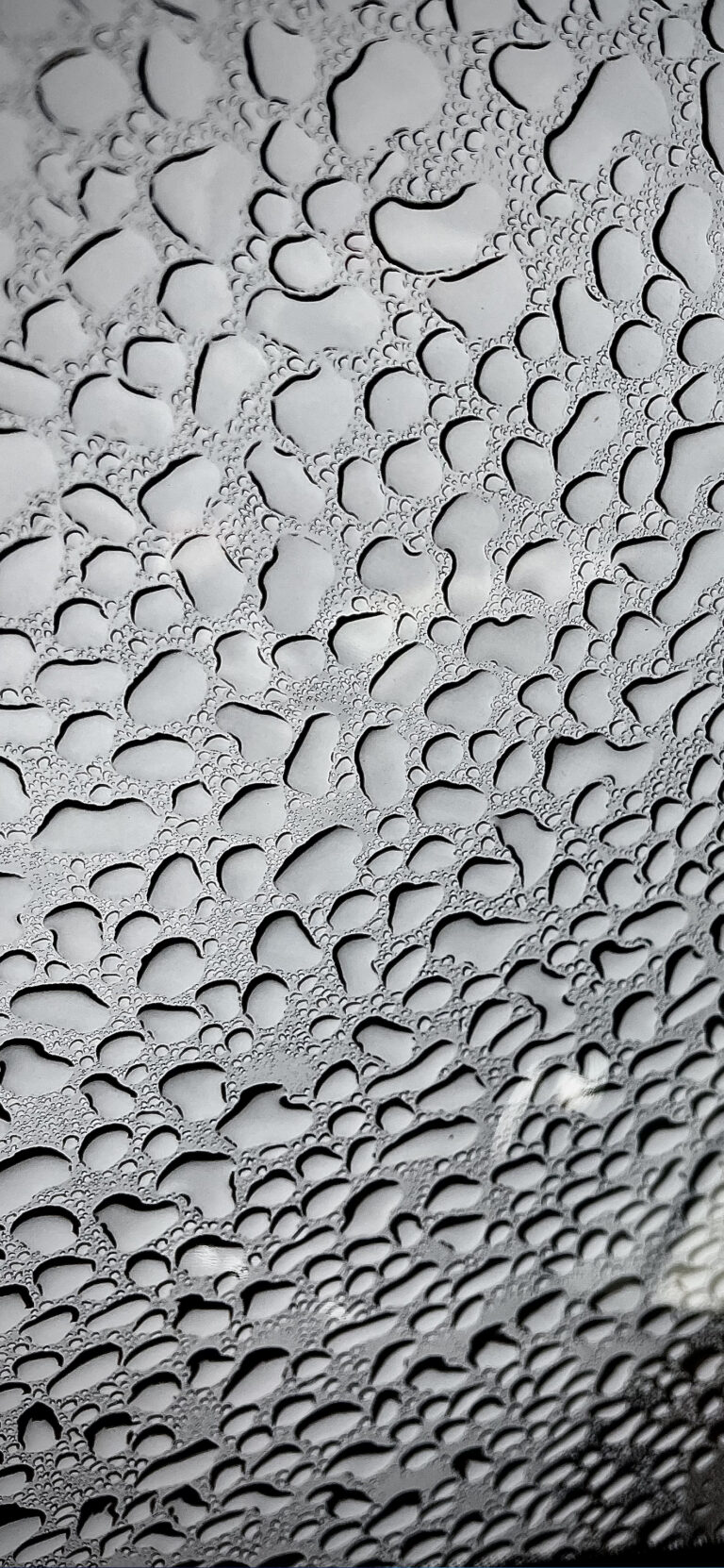 Default wallpaper of RainWindow