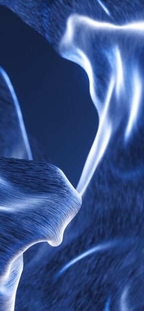 Blue Petals