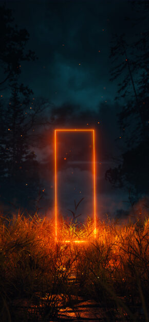 Orange Neon on Grass