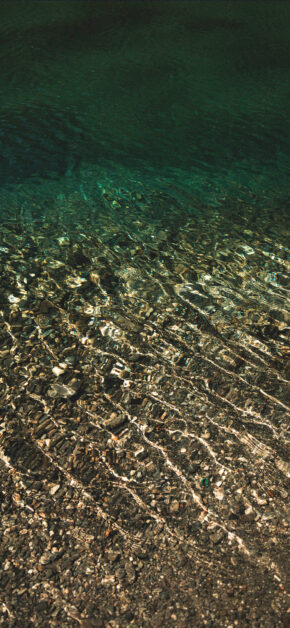 Lake Bottom