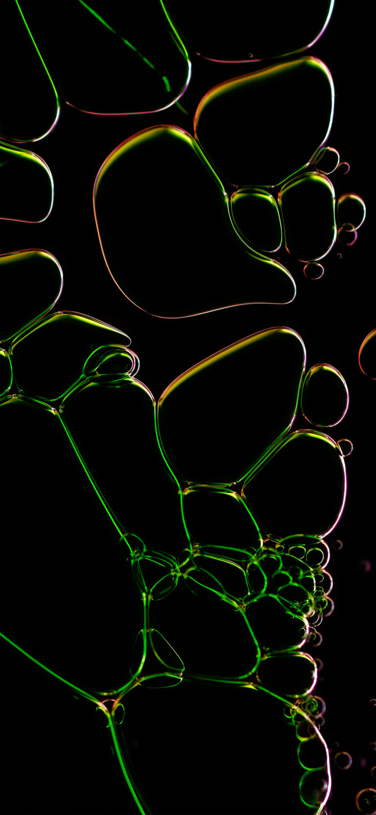 Default wallpaper of Bubbles Green