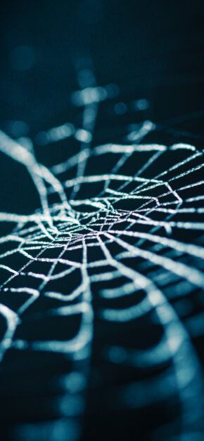Spiderweb