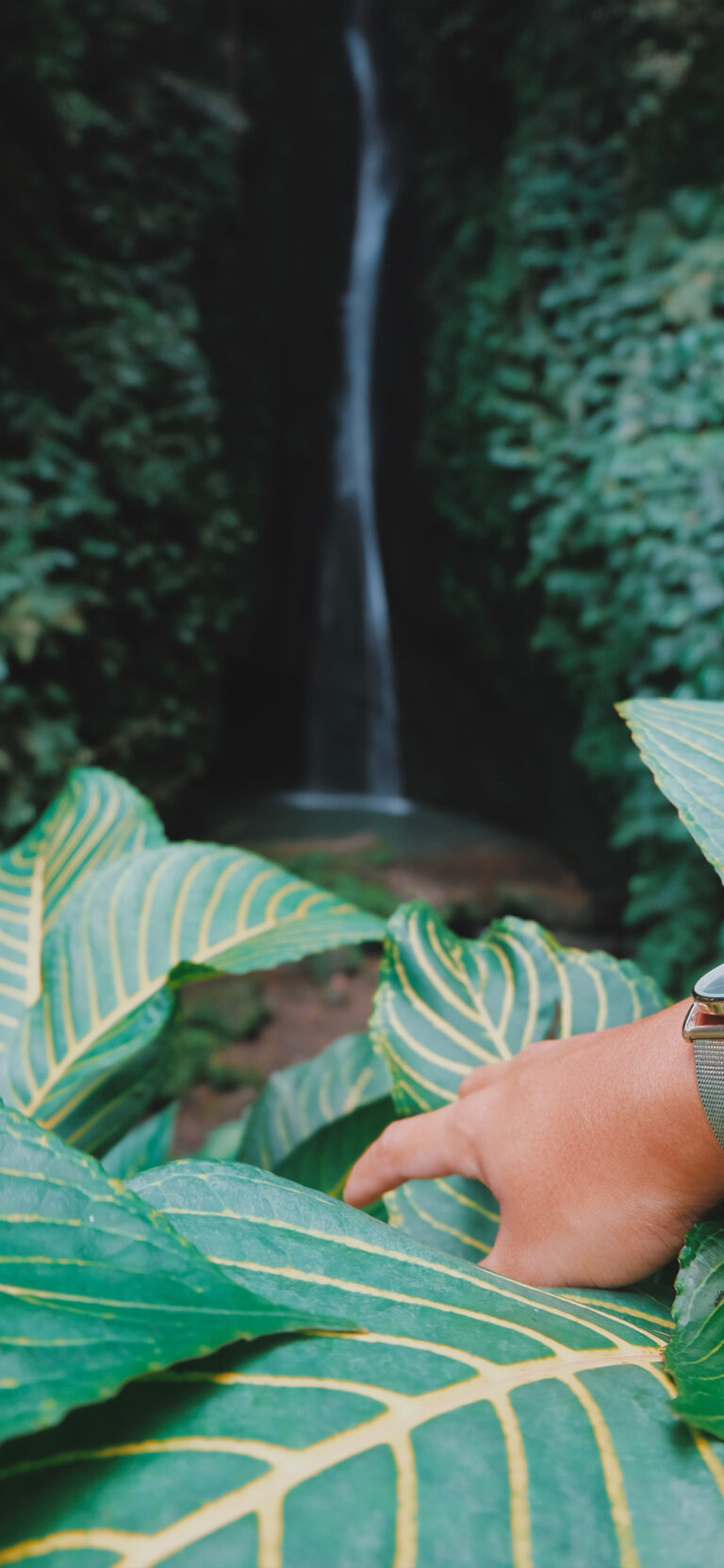 Default wallpaper of Leke Leke Waterfall, Bali