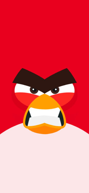 Angry Birds | BigToons