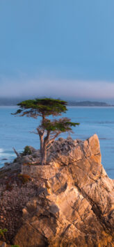 macOS Monterey (unOfficial Wallpaper)