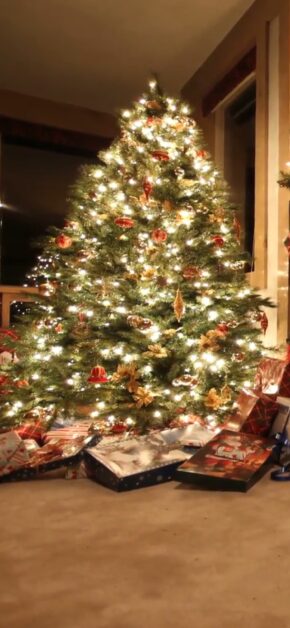 Decorated Christmas Tree | LIVE Wallpaper