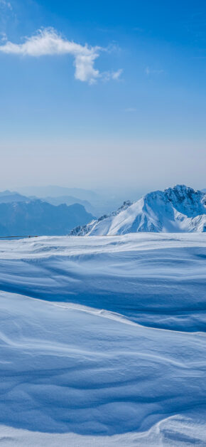 The Great Winter