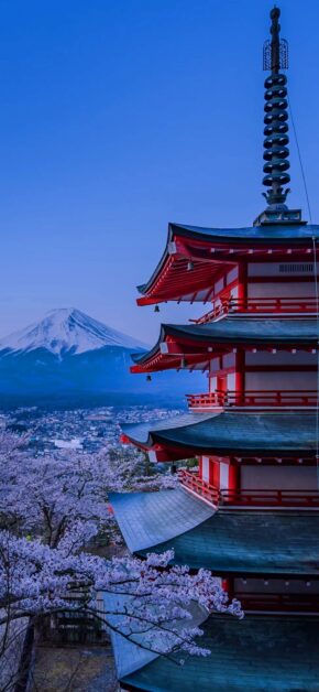 Arakurayama Sengen Park | LIVE Wallpaper
