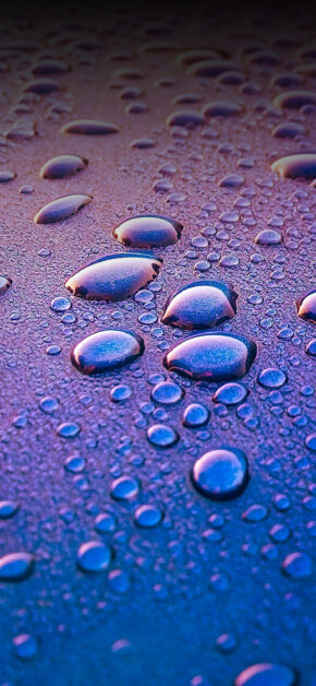 Purple Drops