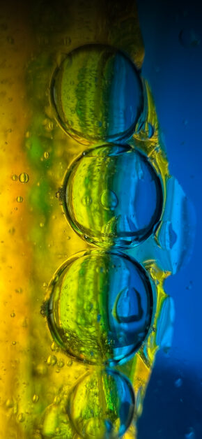 Bolle | Macro