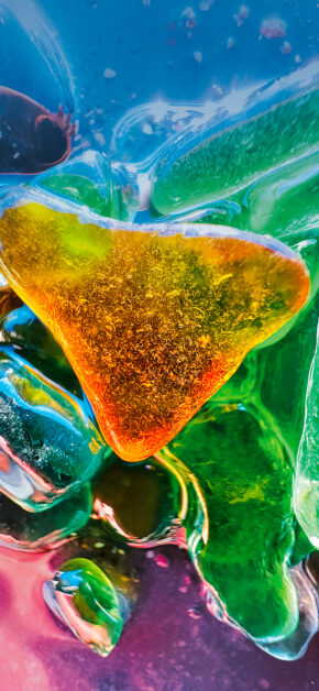 Shot on iPhone Winner – Macro Challenge – Guido Cassanelli