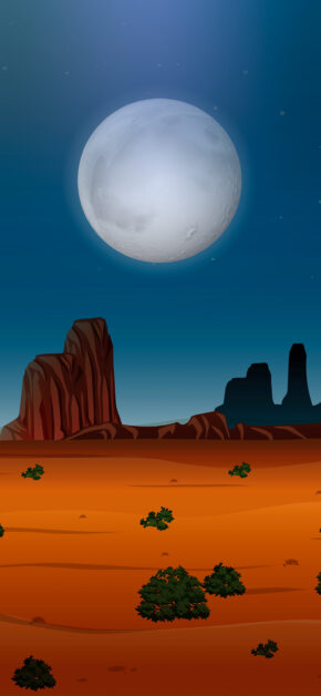 Desert | Vector Night