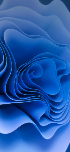 Spiral Blue Rose