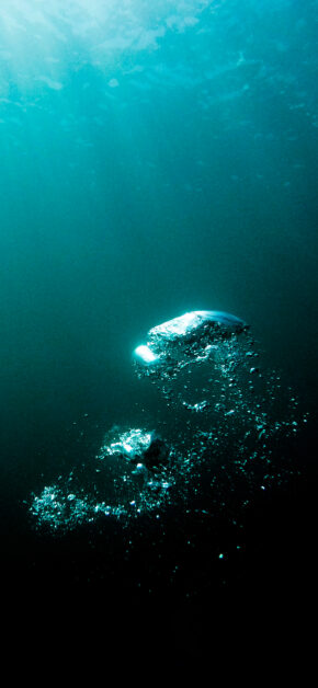 NOMAD 2022 – Underwater – Wallpaper 5