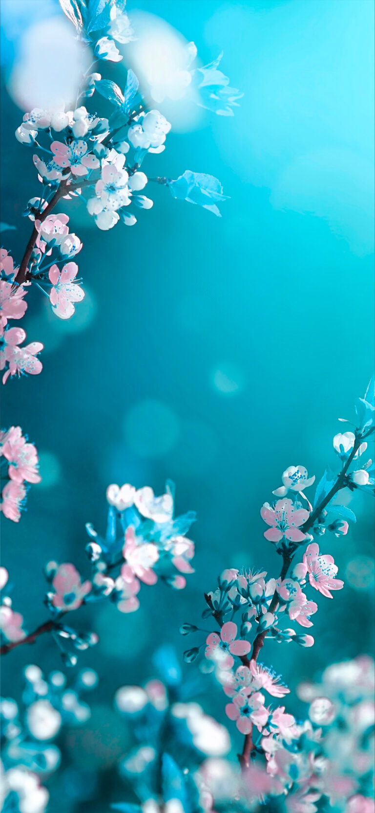 Default wallpaper of Flower