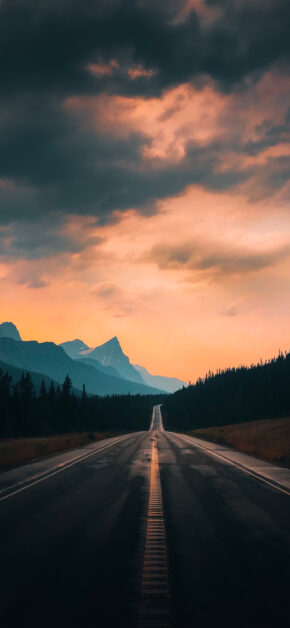 The Way