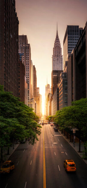 City