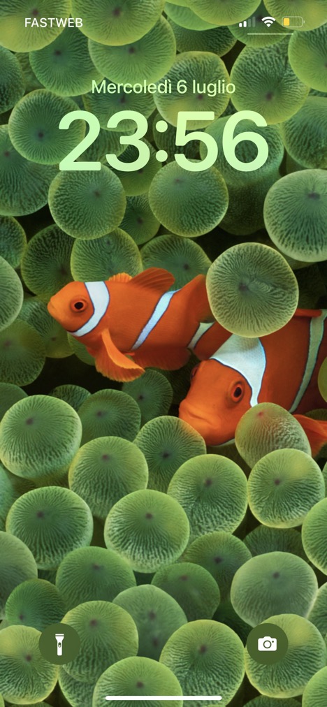 Clownfish, một loài cá cảnh đầy màu sắc, sẽ khiến bạn không thể quên bức hình nền iPhone của mình. Với màu sắc tươi sáng và hình ảnh độc đáo, bạn sẽ cảm thấy phấn khích khi sử dụng điện thoại của mình.