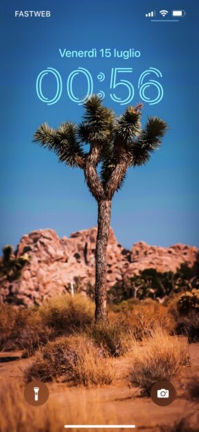Yucca | Depth Effect