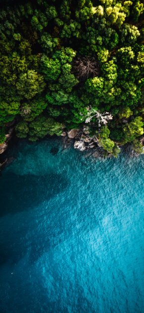 Portofino Coast
