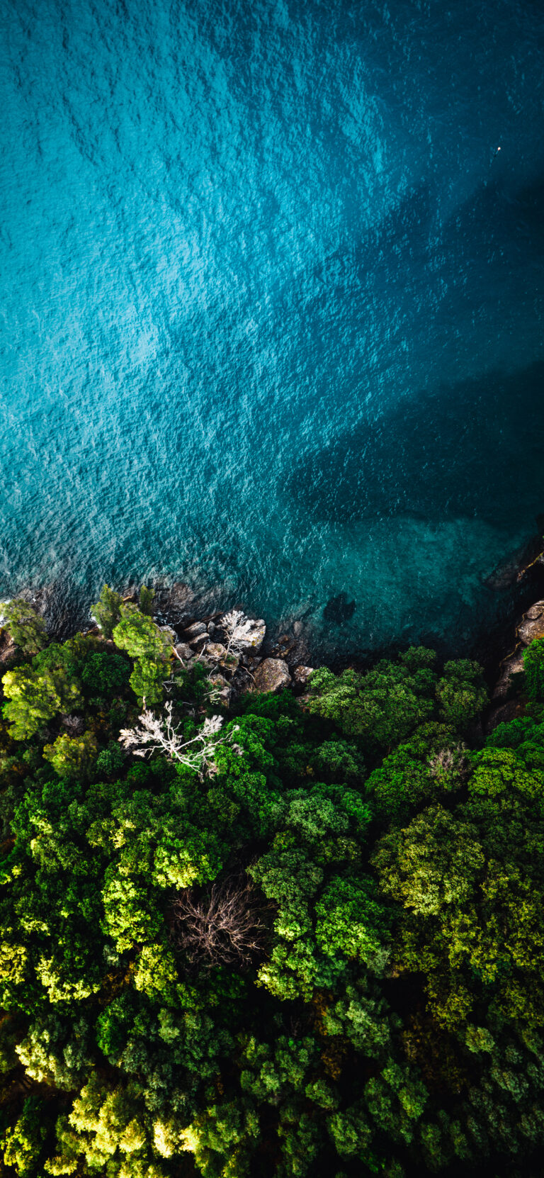 Default wallpaper of Portofino Coast (Rotated) (Italy)