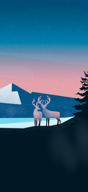 Deer