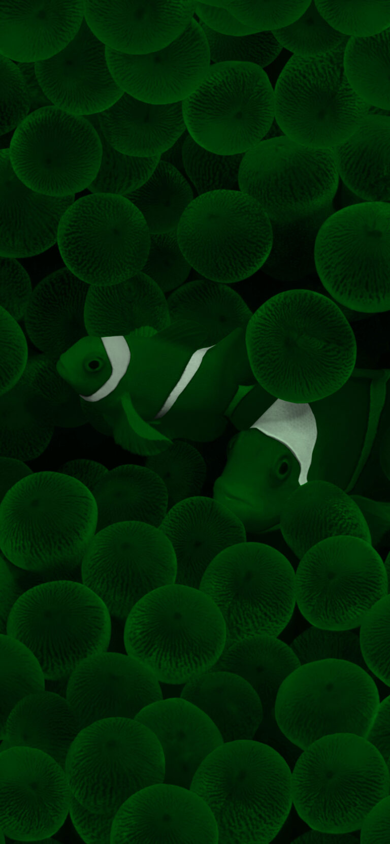 Default wallpaper of Clown Fish – Dark Mode Modd