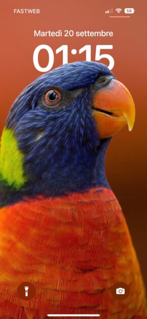 Lorikeet – Parrot | Depth Effect