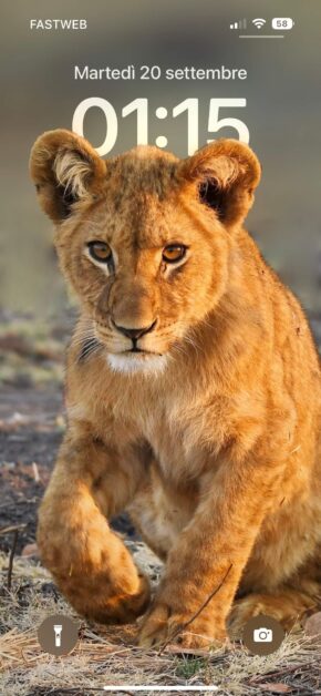 Brown Lioness | Depth Effect