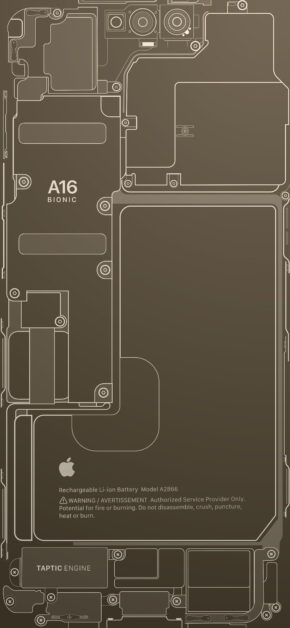 iPhone 14 Pro – Teardown Wallpaper (Gold)