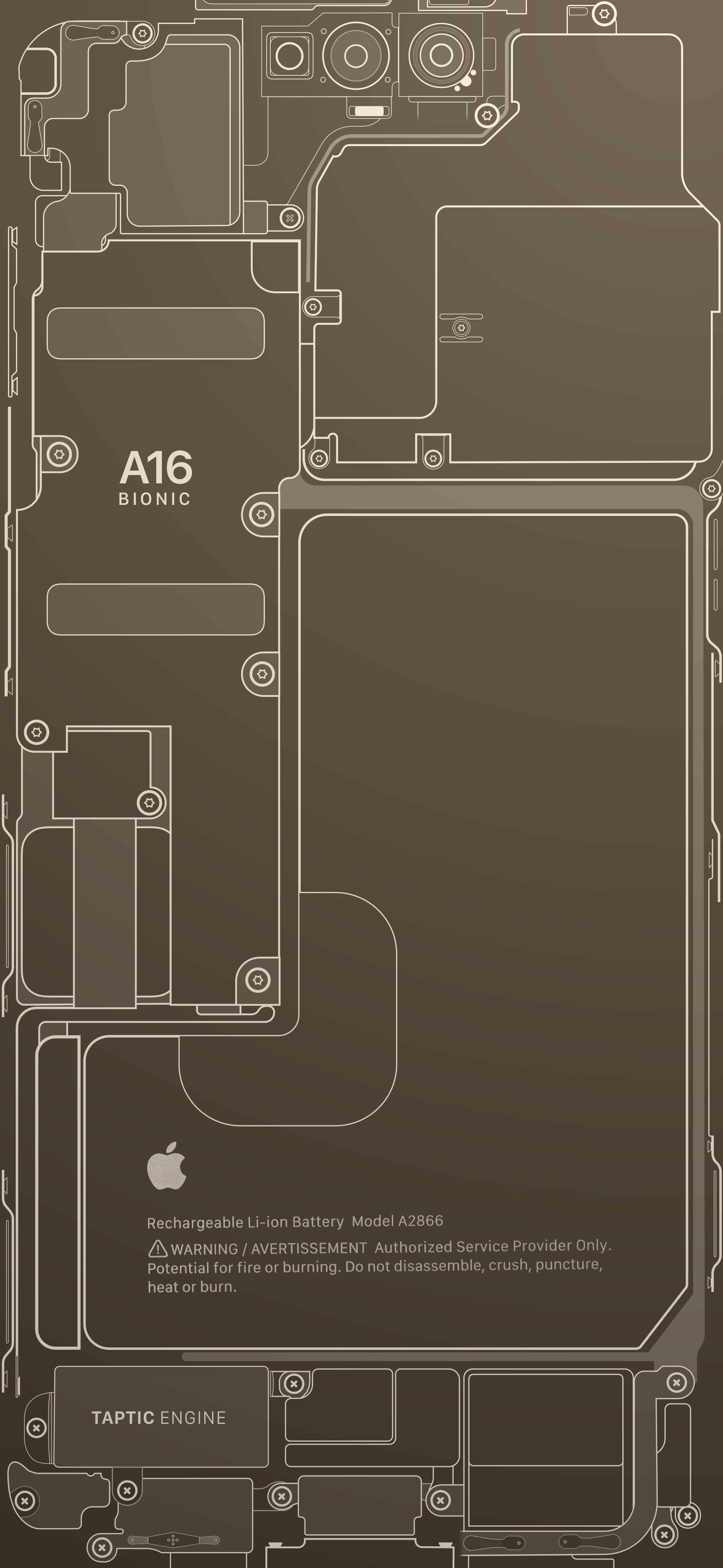 iPhone 14 Pro - Teardown Wallpaper (Gold) - Wallpapers Central