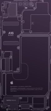 iPhone 14 Pro - Teardown wallpaper (Deep Purple)