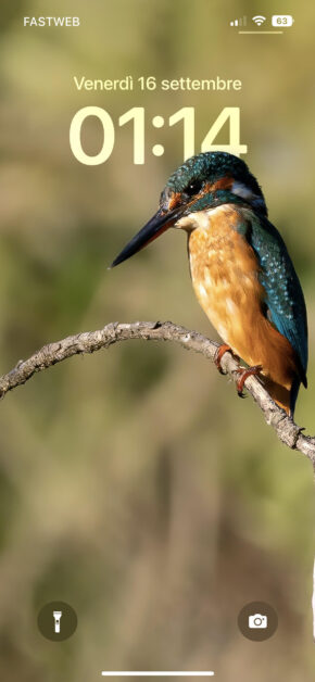 KingFisher | Depth Effect
