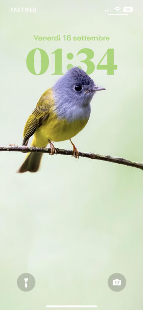 Cute Bird | Depth Effect