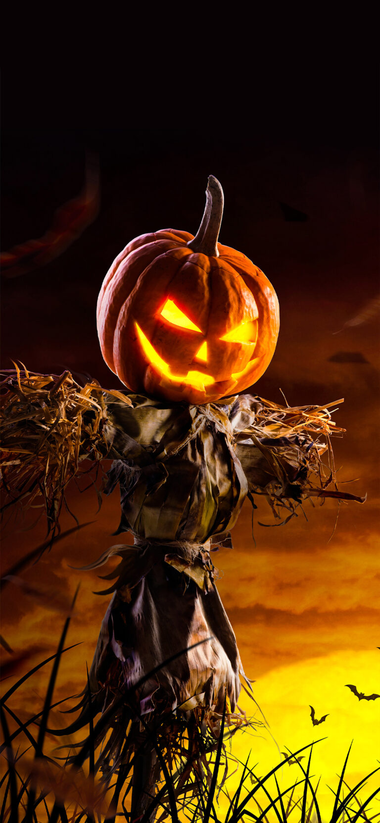 Default wallpaper of Pumpkin Halloween