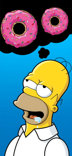 Homer | Fit the Dynamic Island