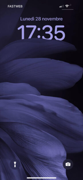 Awesome Purple Flower in Dark | Depth Effect