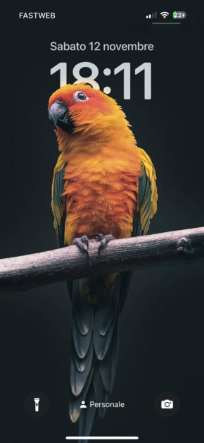 Parrot | Depth Effect