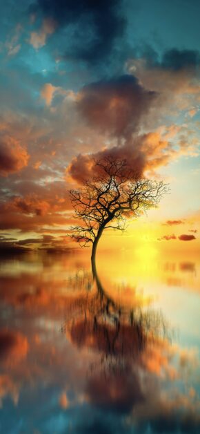 Burning Sky