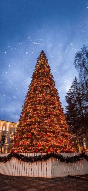 Christmas Tree