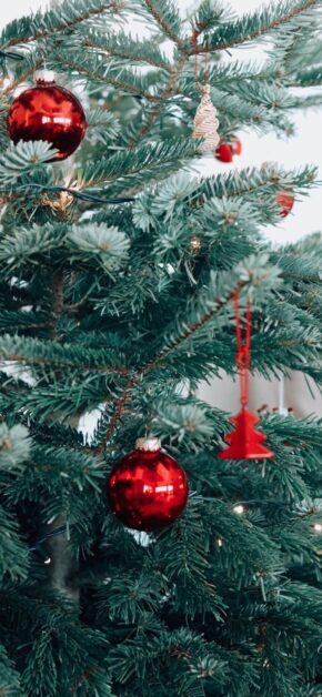 Red Decorations