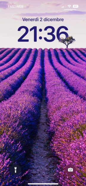 Lavender | Depth Effect