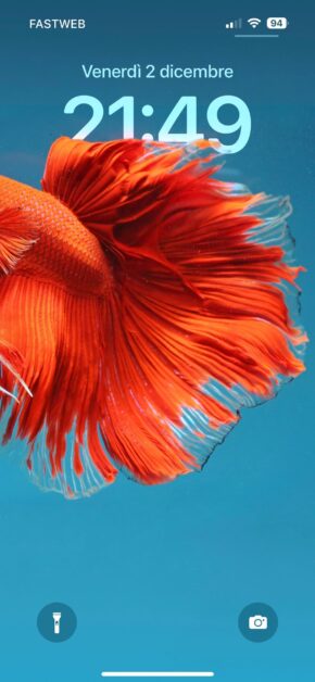 Betta Fish | Depth Effect