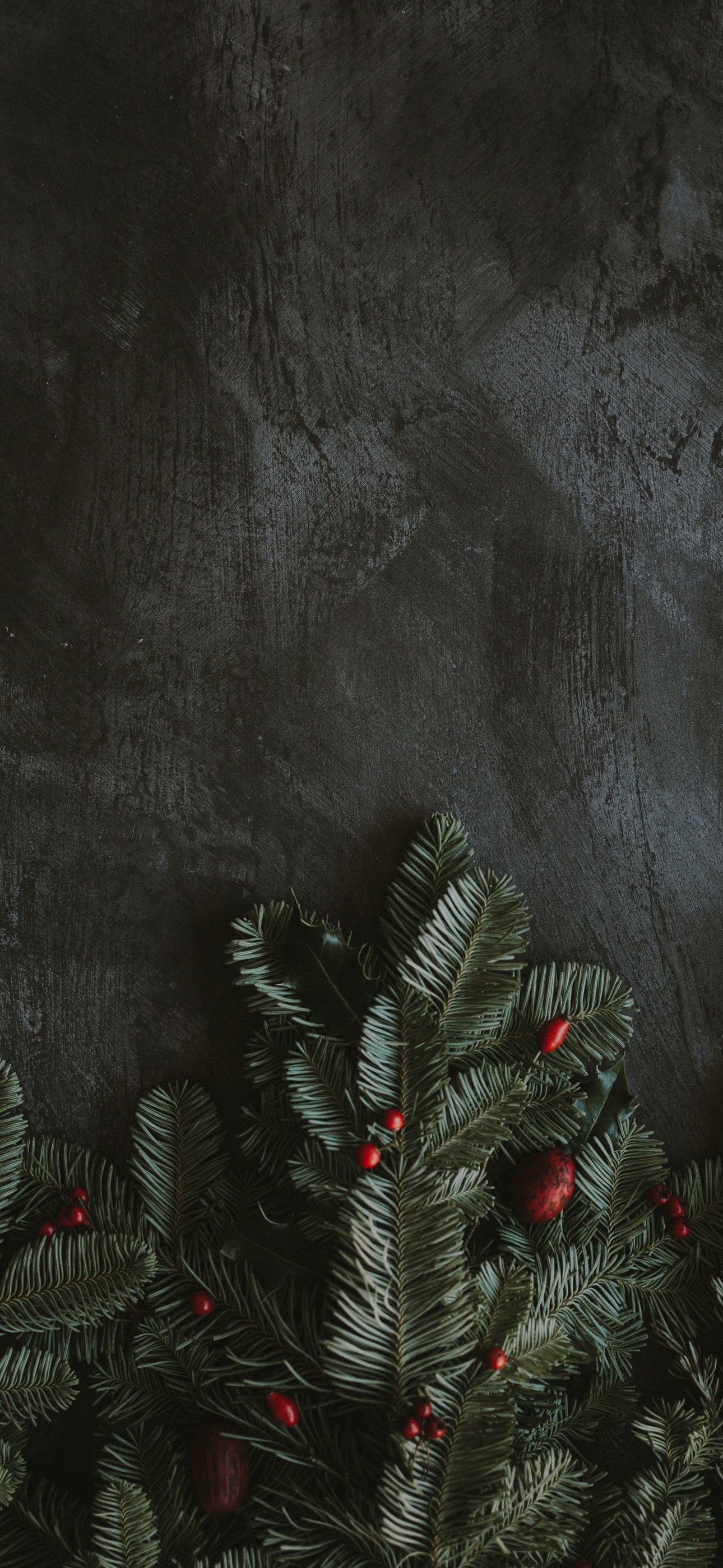 iPhoneXpaperscom  iPhone X wallpaper  nl39winterhousenightsky christmasstarrybwdark