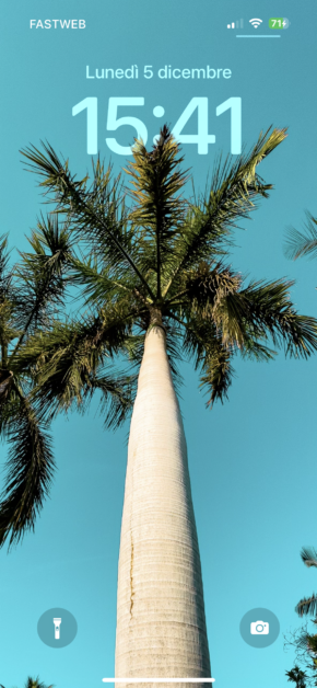 Palm High | Depth Effect