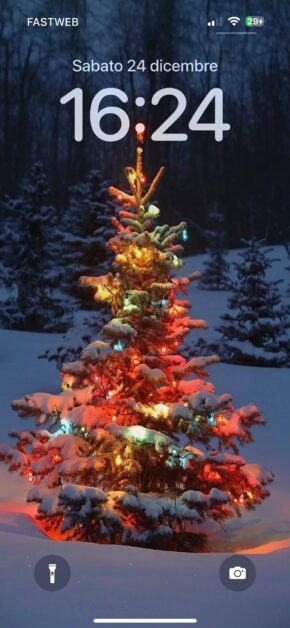 Christmas Tree in the Snow