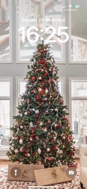 Christmas Presents under the Tree