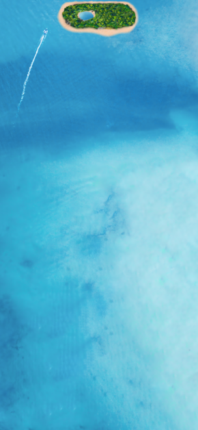 The Dynamic Island Wallpaper