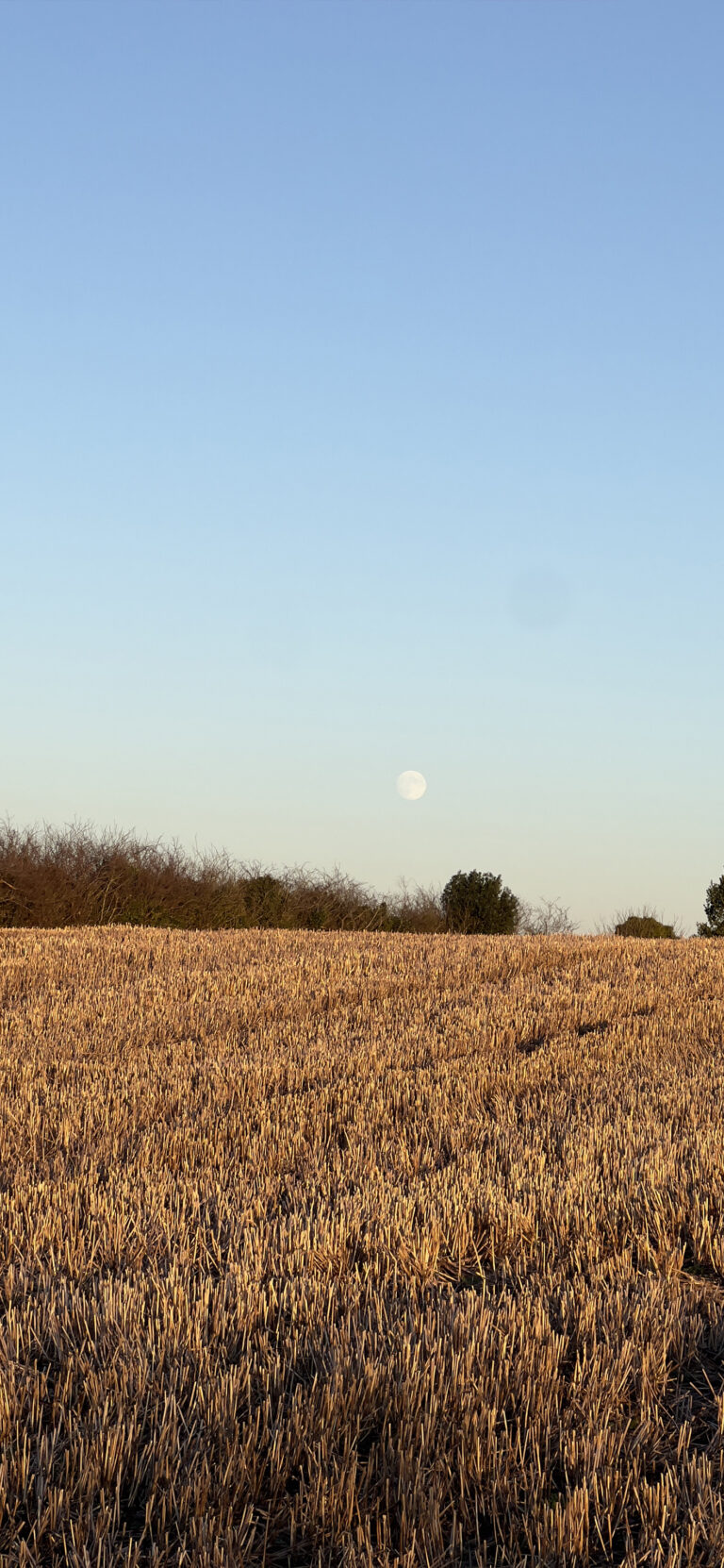 Default wallpaper of Moon Field